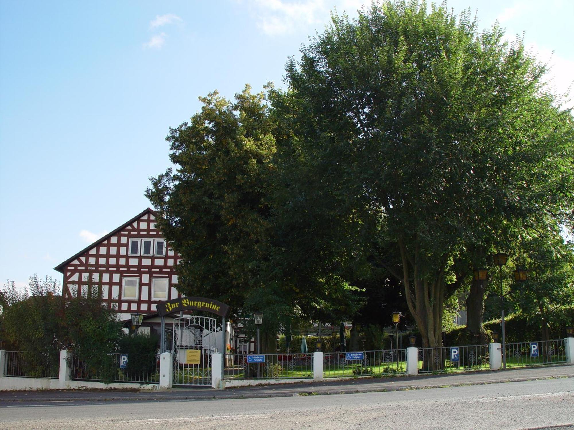 Zur Burgruine Frauenberg Hotel Ebsdorfergrund Exterior photo